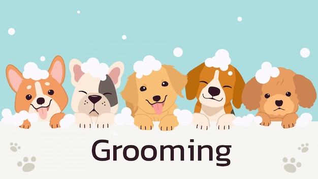 Hình vẽ vector Biểu ngữ với những chú chó dễ thương với bong bóng xà phòng theo phong cách phẳng. minh họa chải lông cho thú cưng