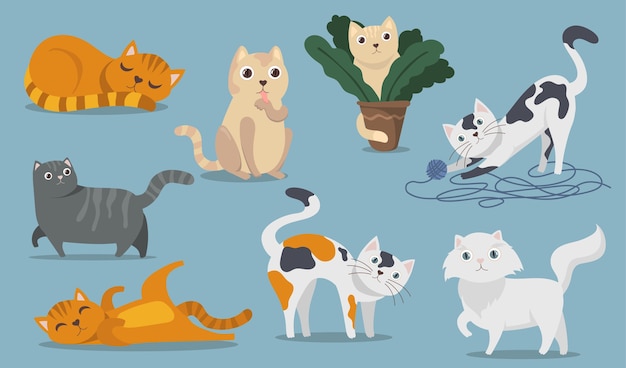 Hình vẽ vector Bộ đồ phẳng hình những chú mèo dễ thương tinh nghịch. phim hoạt hình mèo bông, mèo con và mướp đang ngồi chơi nằm và ngủ bộ sưu tập minh họa vector cô lập. vật nuôi và khái niệm động vật