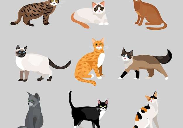 Hình vẽ vector Bộ mèo hoạt hình dễ thương hoặc mèo với bộ lông có màu sắc khác nhau và các dấu hiệu đứng, ngồi hoặc đi bộ