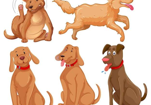 Hình vẽ vector Bộ nhân vật hoạt hình chó