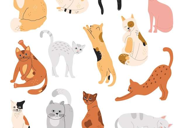 Hình vẽ vector Bộ những chú mèo, thú cưng ngộ nghĩnh nằm ngủ, ngồi, đứng với nhiều tư thế khác nhau.