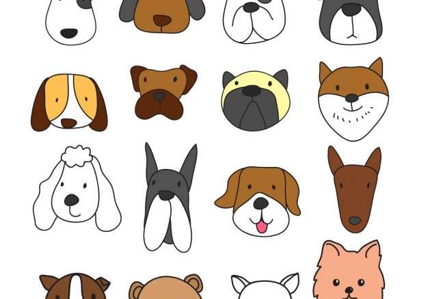 Hình vẽ vector Bộ sưu tập khuôn mặt chó khác nhau