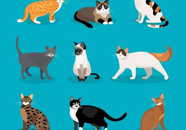 Hình vẽ vector Bộ vector mèo miêu tả các giống và màu lông khác nhau đang đứng ngồi và đi lại