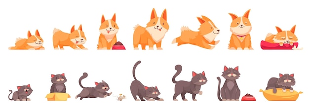 Hình vẽ vector Các giai đoạn tăng trưởng của thú cưng tập hợp các biểu tượng bị cô lập nhân vật hoạt hình của mèo và chó ở các độ tuổi khác nhau minh họa các vector