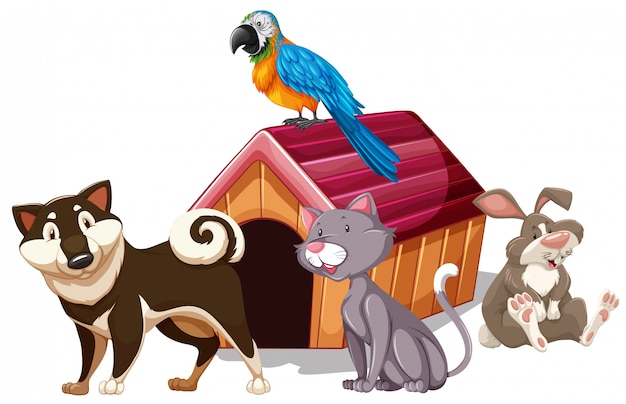 Hình vẽ vector Các loại vật nuôi khác nhau xung quanh nhà