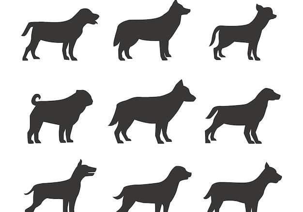 Hình vẽ vector Gói hồ sơ bóng chó