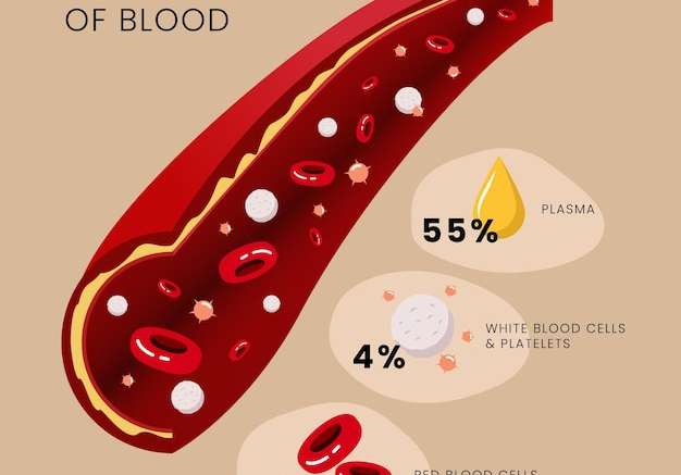 Hình vẽ vector Khái niệm đồ họa thông tin về máu trong thiết kế phẳng