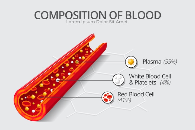 Hình vẽ vector Khái niệm đồ họa thông tin về máu trong thiết kế phẳng