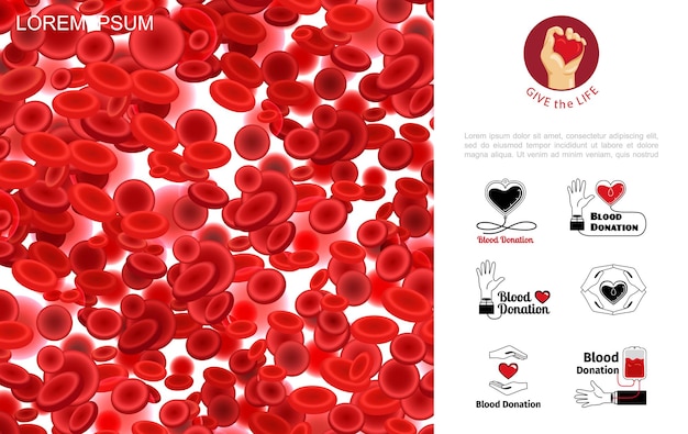 Hình vẽ vector Khái niệm hiến máu với các tế bào máu đỏ hoặc hồng cầu trong hình minh họa theo phong cách hiện thực,