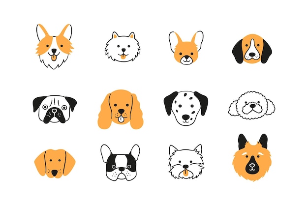 Hình vẽ vector Khuôn mặt của các giống chó khác nhau được thiết lập. corgi, beagle, chó chihuahua, chó sục, spaniel, poodle, dalmatian. bộ sưu tập đầu chó doodle. vẽ tay minh họa vector bị cô lập trên nền trắng