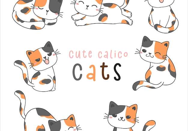 Hình vẽ vector Nhóm mèo tam thể dễ thương vui tươi vẽ minh họa cho mèo ba màu vector