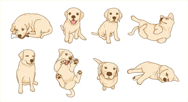 Hình vẽ vector Phim hoạt hình bộ sưu tập minh họa chó con chó tha mồi labrador vui tươi