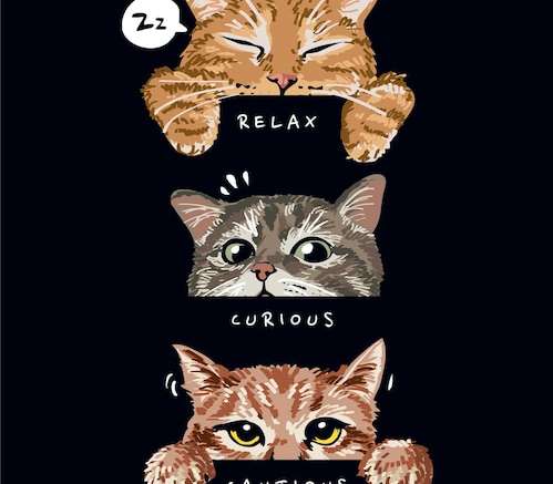 Hình vẽ vector Tâm trạng chú mèo dễ thương trên nền đen minh họa