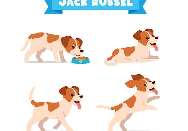 Hình vẽ vector Thú cưng chó jack russell dễ thương với bộ bó nhiều tư thế