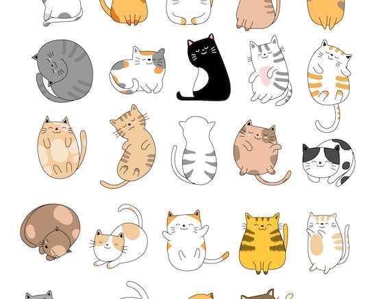 Hình vẽ vector Vẽ tay bộ sưu tập mèo con