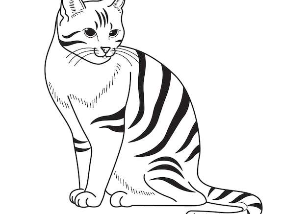 Hình vẽ vector Vẽ tay phác thảo mèo minh họa