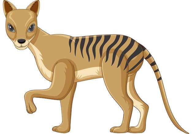 Hình vẽ vector Vector động vật tuyệt chủng hổ Tasmania