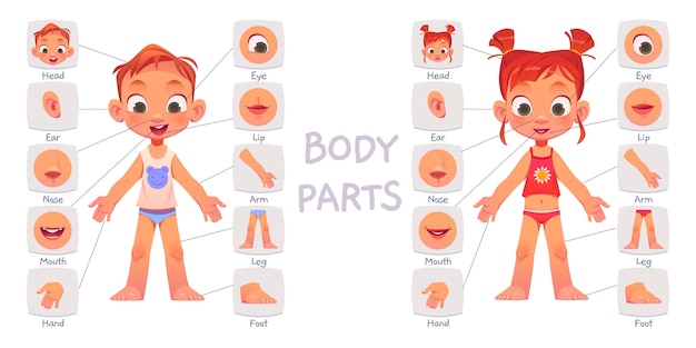 Hình vector Bộ sưu tập bộ phận cơ thể trẻ em hoạt hình