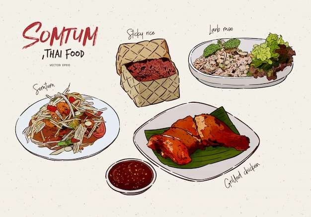 Hình vector Bộ sưu tập Somtum, món ăn Thái Lan. phác thảo vẽ tay.