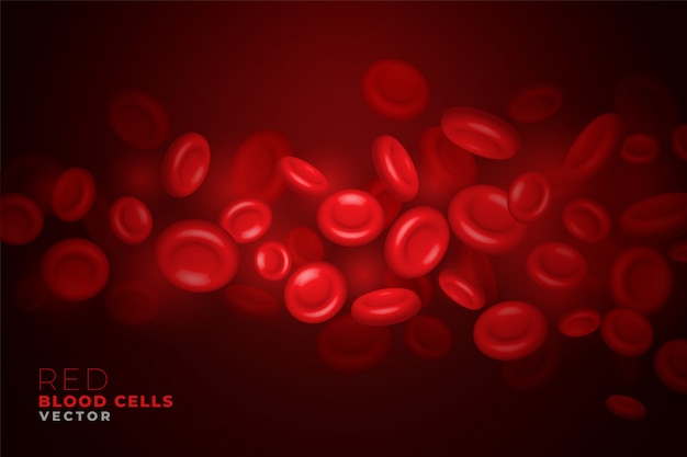 Hình vector Các tế bào hồng cầu thực tế chảy qua nền động mạch