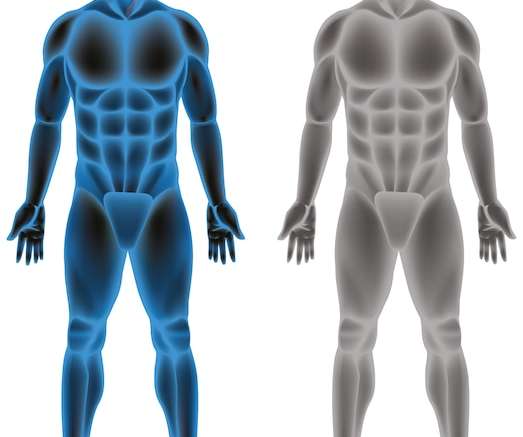 Hình vector cơ thể con người trên nền trắng
