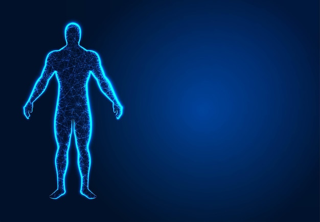 Hình vector Cơ thể con người trong thực tế ảo bản in y tế màu xanh quét mô hình 3d trừu tượng các thiết kế low poly từ hình minh họa vector khung dây và dấu chấm