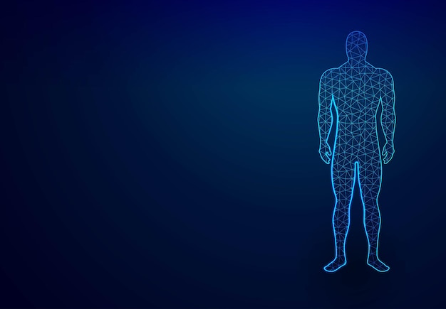 Hình vector Cơ thể con người trong thực tế ảo y tế bản in màu xanh được quét mô hình 3d trừu tượng thiết kế lưới khung dây poly thấp thiết kế nền minh họa vector chấm và đường kết nối