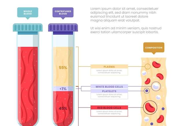 Hình vector Infographic máu thiết kế phẳng minh họa