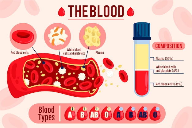 Hình vector Infographic máu vẽ tay
