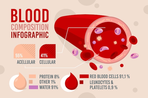 Hình vector Thành phần của đồ họa thông tin máu