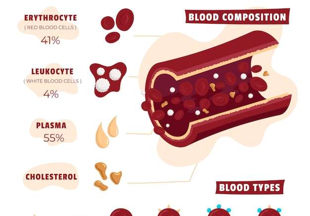 Hình vector Vẽ đồ họa thông tin về máu với các yếu tố minh họa