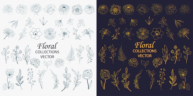Vector Bộ sưu tập các yếu tố hoa vẽ tay
