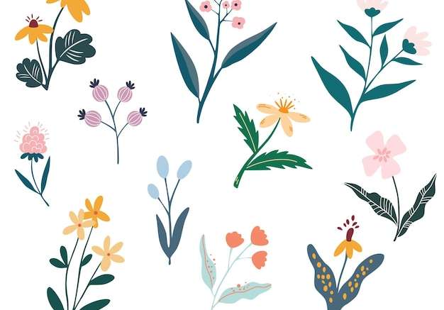 Vector Bộ sưu tập hoa của các yếu tố hoa đầy màu sắc trong bộ màu phẳng của mùa xuân và mùa hè hoa dại cây cành lá và thảo mộc minh họa vector cho đồ họa và cửa hàng trang web trang trí