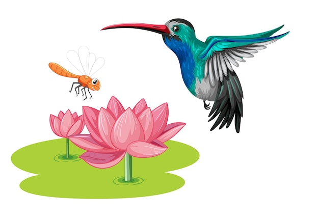 Vector chim ruồi với hoa sen theo phong cách hoạt hình
