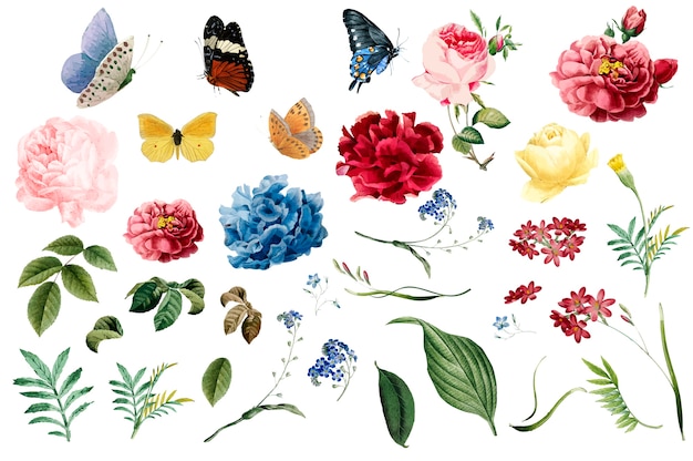 Vector Hình minh họa hoa và lá lãng mạn khác nhau