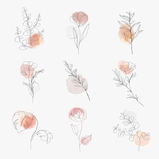 Vector Hoa dòng nghệ thuật thực vật màu nước minh họa tối thiểu