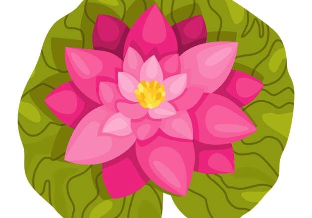 Vector Hoa và lá màu hồng hoa sen để quảng cáo hoặc lời mời nụ hoa mở ra một cây thủy sinh thiết kế 3d đối tượng bị cô lập cho thiết kế