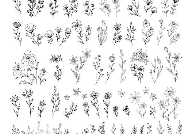 Vector Tập hợp các yếu tố hoa cổ điển vector bộ khung vẽ nguệch ngoạc dễ thương và các yếu tố viền hoa