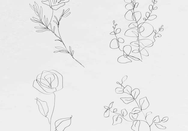 Vector Thực vật dòng nghệ thuật hoa vector bộ sưu tập bản vẽ trừu tượng tối thiểu