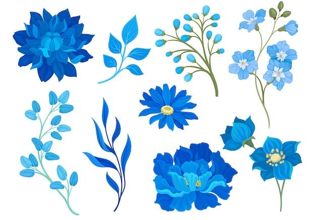 Vector Tuyển tập tranh vẽ hoa lá màu xanh. hình minh họa trên nền trắng.