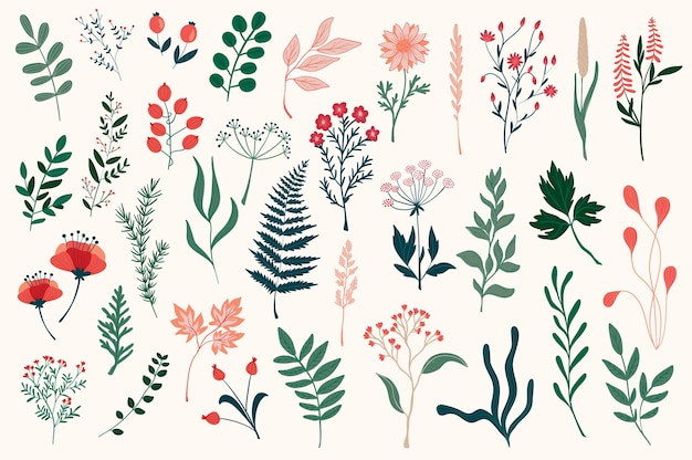 Vector Vẽ tay các yếu tố trang trí hoa, lá, hoa, thảo mộc và cành cây vẽ nguệch ngoạc thực vật