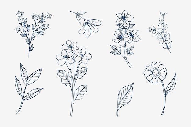Vector Vẽ tay phác thảo hoa đơn giản