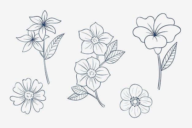 Vector Vẽ tay phác thảo hoa đơn giản