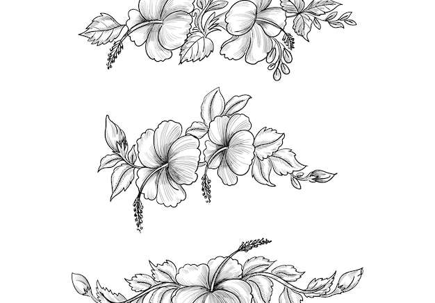 Vector Vẽ tay phác thảo thiết kế bộ hoa