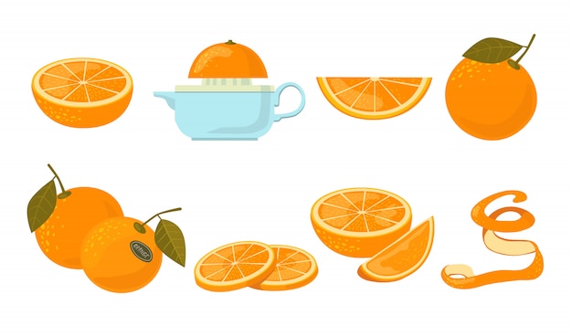 Hình ảnh vector bộ biểu tượng trái cây màu cam