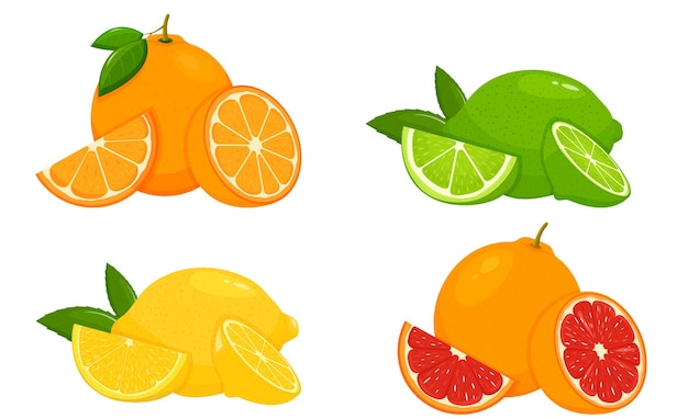 Hình ảnh vector Bộ cam quýt chanh quýt chanh cam bưởi toàn bộ cắt một nửa trái cây có múi chua tươi với miếng vitamin và lát minh họa vector cam quýt bị cô lập trên nền trắng