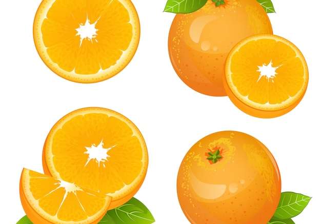 Hình ảnh vector Bộ lát trái cây cam tươi ngon ngọt