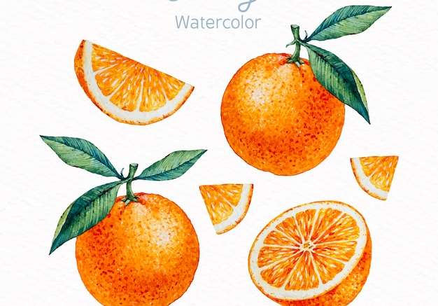 Hình ảnh vector Bộ màu cam màu nước