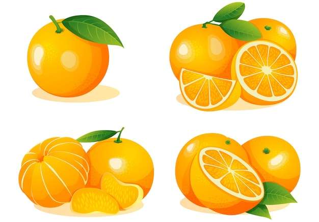 Hình ảnh vector Bộ quả cam tươi nguyên nửa quả và cắt lát minh họa bị cô lập trên nền trắng