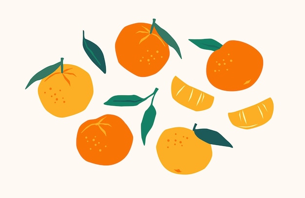 Hình ảnh vector Bộ quýt vẽ trái cây có múi cam mantarines vector minh họa các yếu tố bị cô lập cho thiết kế